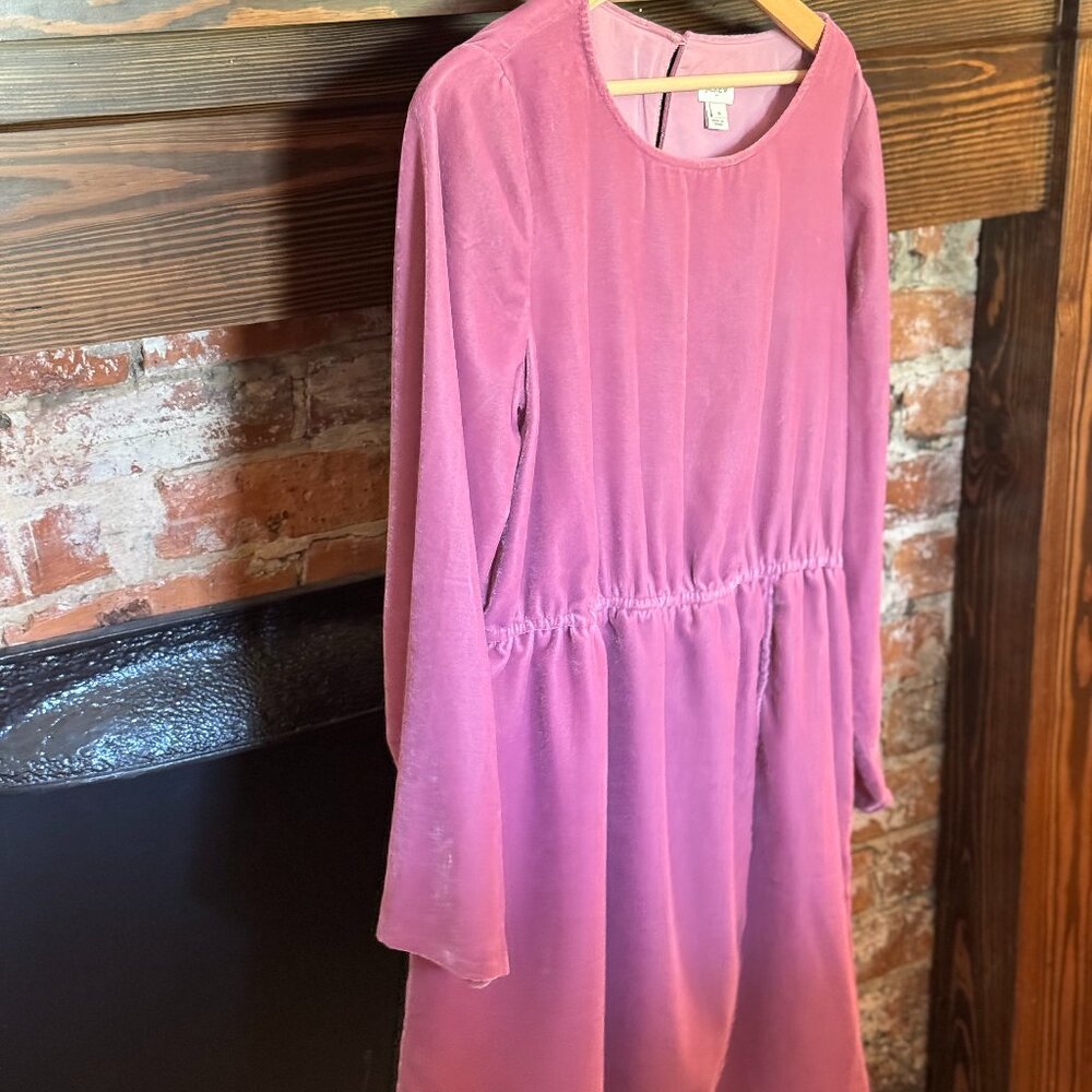 J. Crew Long Sleeved Pink Velvet Dress - Size 12